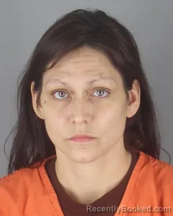 Mugshot of LISA LYNN PLUMER
