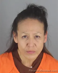 Mugshot of LORI ANN SMITH