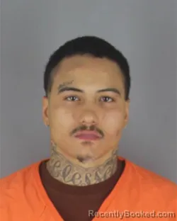 Mugshot of LEONARD KEYSHAWN WATSON