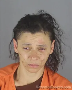 Mugshot of CECELIA MAY LEWIS