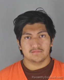 Mugshot of FABIAN MAURICIO ALVARADO INAMAGUA