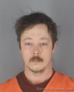 Mugshot of RYAN THOMAS SWAN