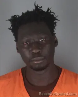 Mugshot of SEYDINA MOUHAMED NGOM