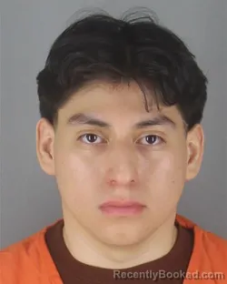 Mugshot of DAVID ROSALES BONILLA