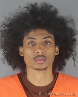 Mugshot of ISMAIL MOHAMED HASSAN
