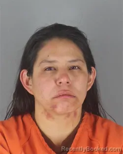 Mugshot of DANIELLE ELAINE MORRISON