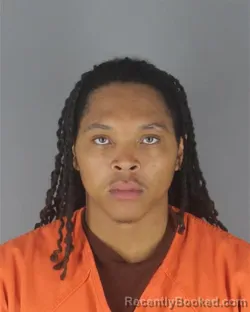 Mugshot of JERMAREON DE MONT EDWARDS STEWART