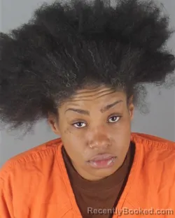 Mugshot of KENESHA MARIE FAGIN
