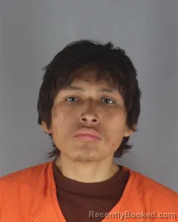 Mugshot of TYSON WHISPER FRANKS