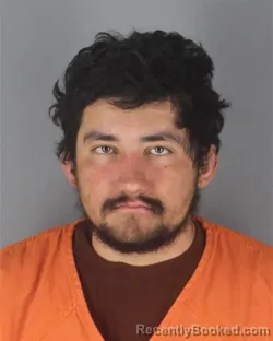 Mugshot of PATRICK THEODORE SANCHEZ