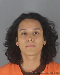 Mugshot of IOVANY DELEON