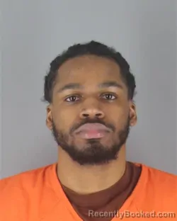 Mugshot of DARRYL II TERRELL
