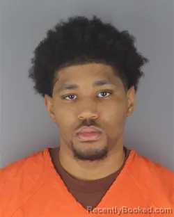 Mugshot of DREVONNE KANYE BURNS-PERKINS