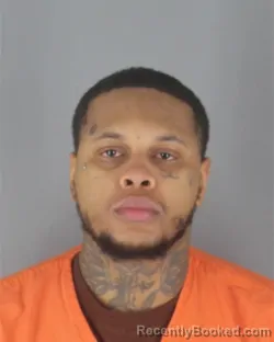 Mugshot of AMIR ZANEKEE RASHAD BROWN