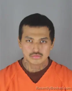 Mugshot of ROWAN DYAMI WHITE