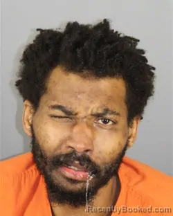 Mugshot of SAVION MARQUIN JOHNSON-STANLEY