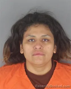 Mugshot of JENNI MICHELLE BRUCE