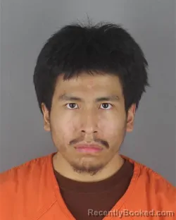 Mugshot of CARLOS ORELLANA DUTA