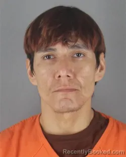 Mugshot of RICKY LEE BARRETT