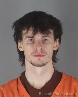 Mugshot of DYLAN JAMES RICHARDS