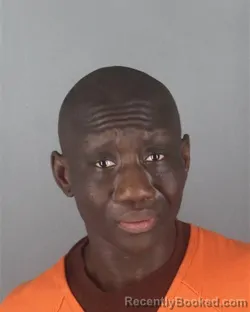 Mugshot of SARAH KORTO PYNE