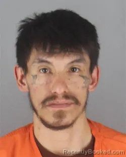 Mugshot of SHANE ALAN LOSH