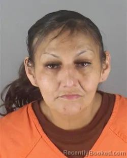 Mugshot of VANESSA MAE WILLIAMS