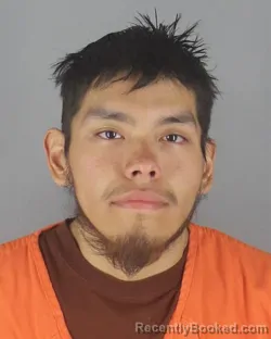 Mugshot of DAVIEN JACK SHABAIASH