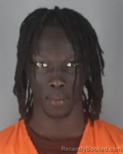 Mugshot of CHAN JAMES MALITH