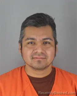 Mugshot of IRVING JOSUE DE JESUS SILVA