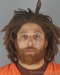 Mugshot of NEIL LAWRENCE JR JAMES