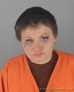 Mugshot of ROBERTA ANN STRONG