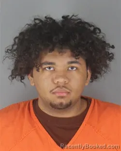 Mugshot of DEVANTAE MARQUETTE FITZGERALD