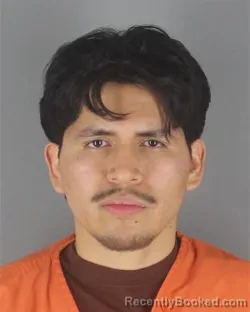 Mugshot of LUIS FERNANDO MARTINEZ SEVERIANO
