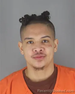 Mugshot of DARRYL ANTHONY LAMB