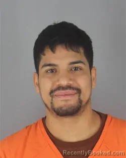 Mugshot of LEOPOLDO GARZON LARA