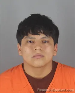 Mugshot of RONNI STALIN SHIZAIKA