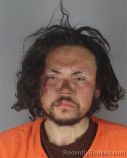 Booking photo from Hennepin County, Minnesota