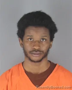 Mugshot of LEAMOR ARMON WILLIAMS booked in Hennepin County, Minnesota on April 5, 2026