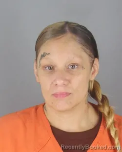 Mugshot of KRISTINA MARIE WELLNER booked in Hennepin County, Minnesota on April 16, 2026