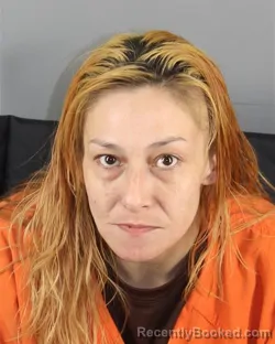 Mugshot of CHRISTINA MAE JACKSON booked in Hennepin County, Minnesota on April 17, 2026