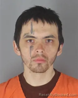 Mugshot of DAMON MICHAEL FENSKE booked in Hennepin County, Minnesota on April 17, 2026
