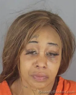 Mugshot of BIANCA MARIE SHEPPARD booked in Hennepin County, Minnesota on April 18, 2026