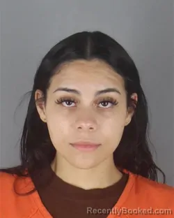 Mugshot of NEAVAH ADESHA MCGEE booked in Hennepin County, Minnesota on April 18, 2026