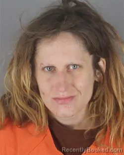 Mugshot of AMBER ROSE SOLIN booked in Hennepin County, Minnesota on April 18, 2026