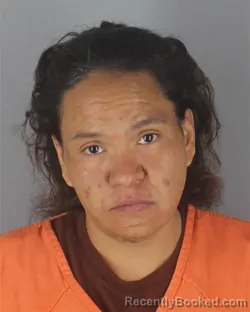 Mugshot of THAMESHA ALICE WILLIAMS booked in Hennepin County, Minnesota on April 18, 2026