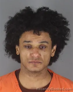 Mugshot of MICHAEL ANTHONY VANN booked in Hennepin County, Minnesota on April 18, 2026