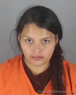 Mugshot of CYNTHIA DOLORES MEZA booked in Hennepin County, Minnesota on April 20, 2026