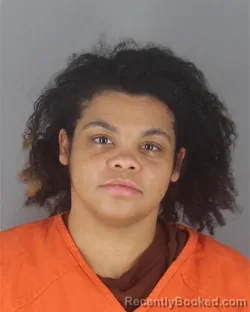 Mugshot of SABRINA JANE LIVINGSTON OLSON booked in Hennepin County, Minnesota on April 22, 2026