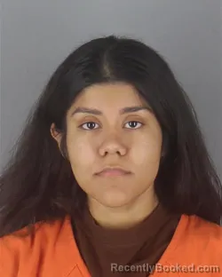 Mugshot of SUSAN RAMIREZ booked in Hennepin County, Minnesota on April 23, 2026